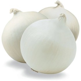 تصویر پیاز سفید درشت Large white onion