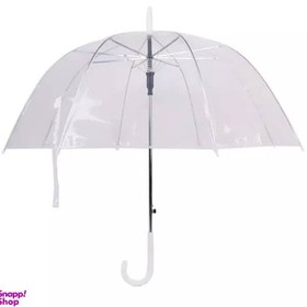 تصویر چتر آرژین 