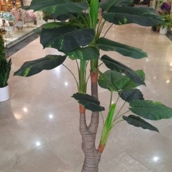 تصویر درختچه مصنوعی پتوس پافیلی 