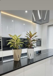 تصویر گلدان مدرن m2 مدل راما 