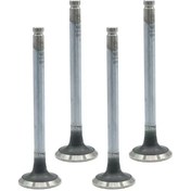 تصویر سوپاپ دود و هوا موتور روآ سال OHVG ساوه STYM 