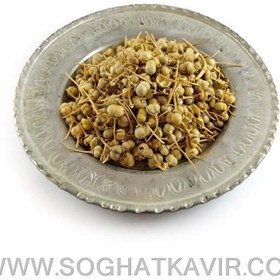 تصویر اسپند اسپند نخودی(دشتی)