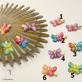 تصویر گیره پروانه ای 