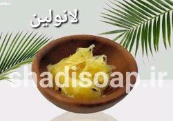 تصویر لانولین ۵۰ گرمی Lanolin oil