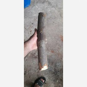 تصویر چوب بلوط 400 گرمی 