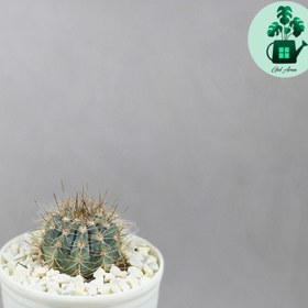 تصویر ملو آبی 