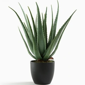 تصویر فروشگاه تاج از ما