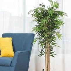 تصویر درختچه مصنوعی بامبو ارتفاع بدون گلدان 120 سانت 