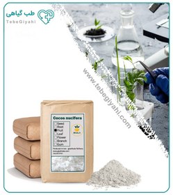 تصویر پودر نارگیل خشک فله 