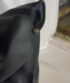 تصویر پیرسینگ طرح قلب نقره ای 