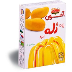 تصویر پودر ژله انبه آمون 100 گرمی 
