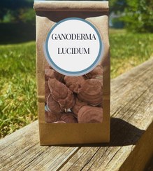 تصویر قارچ گانودرما لوسیدوم (ریشی) بسته ۵۰ گرمی - میوه کامل Ganoderma50gr