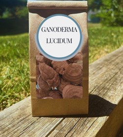 تصویر قارچ گانودرما لوسیدوم (ریشی) بسته ۱۰۰ گرمی - پودرشده Ganoderma100gr