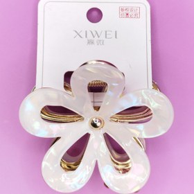 تصویر کیلیپس مو 