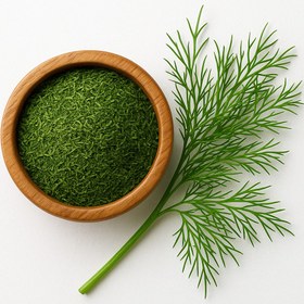 تصویر شوید خشک 