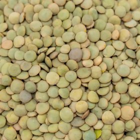 تصویر عدس درشت اعلا 900 گرمی 