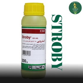 تصویر استروبی 