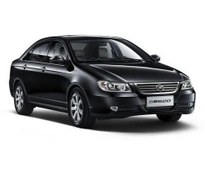 تصویر شیلنگ بخاری بلند لیفان ۶۲۰ 