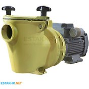 تصویر پمپ تصفیه استخر MEGAPOOL 3hp مدل CI300 