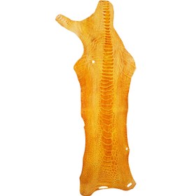 تصویر چرم ساق شتر مرغ OL006 سورت C 