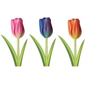 تصویر استيکر ديواري سه بعدي ژيوار طرح گل هاي لاله ا Zhivar Tulip Flowers 3D Wall Sticker Zhivar Tulip Flowers 3D Wall Sticker