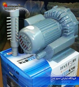 تصویر پمپ هوای مرکزی بلوئر مدل ۱۲۰۰ هایلا Hailea VB-1200G Impellor Vortex Air Blower