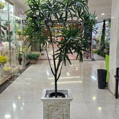 تصویر درختچه شاه‌دانه (گراس) مصنوعی 