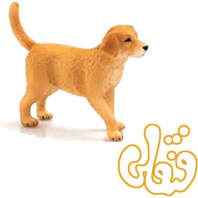 تصویر توله سگ زنده یاب طلایی Golden Retriever Puppy 387205 