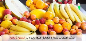 تصویر بانک اطلاعات شماره موبایل میوه و تره بار استان زنجان 