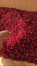 تصویر زرشک دانه اناری 