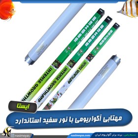 تصویر لامپ مهتابی سفید T8 آکواریوم ایستا Ista intense growth lamp fluorescent