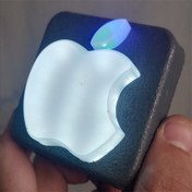 تصویر چراغ سقفی اپل مخصوص پراید 