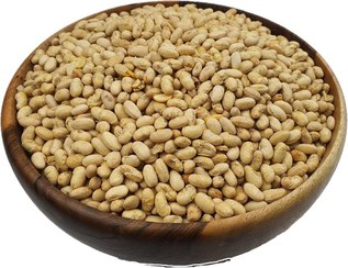 تصویر سویا آجیلی 