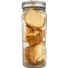 تصویر قارچ یال شیر 