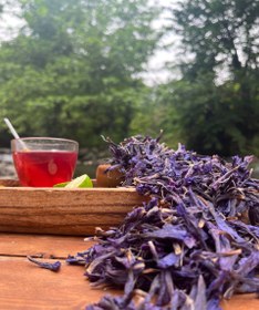 تصویر گل گاو زبان اعلا محصول دشت های اشکورات گیلان