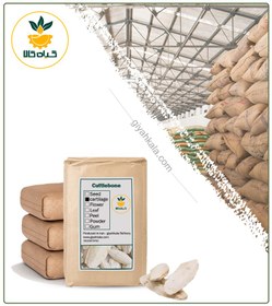 تصویر کف دریا خشک فله 