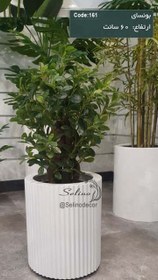 تصویر درختچه مصنوعی بونسای شفرا سایز ۶۰ سانت 