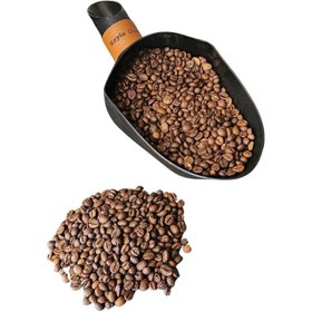 تصویر شوالیه سیاه 