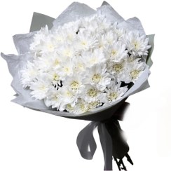 تصویر دسته گل داودی سفید 