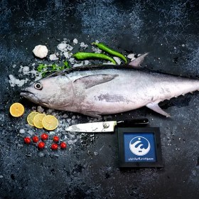 تصویر ماهی تن هوور 