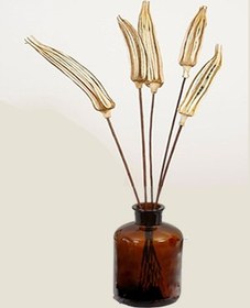 تصویر گل خشک بامیه 