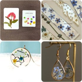 تصویر گل خشک 