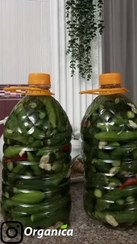 تصویر خیارشور ارگانیکا - ۷۰۰۰۰۰ / ۲۸۰۰۰۰ / ۱۴۰۰۰۰ 