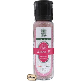 تصویر گل محمدی 