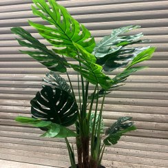 تصویر درختچه مصنوعی انجیری پنج تنه 