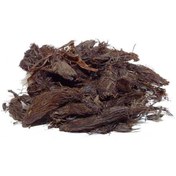 تصویر سنبل الطیب 