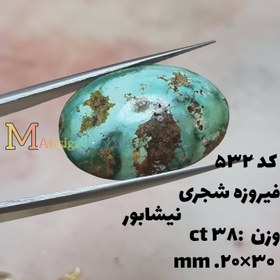 تصویر فیروزه شجری نیشابور 