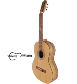 تصویر گیتار پارسی p70 Guitar parsi