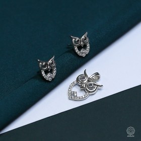 تصویر نیم ست نقره آکو 