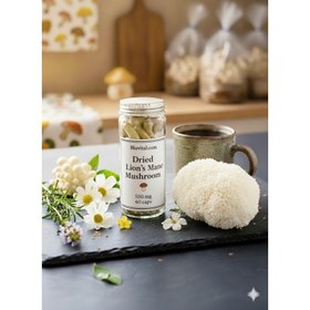 تصویر مکمل قارچ یال شیر 